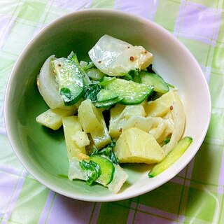 野菜を摂ろう♬じゃがいも＆きゅうりの明太マヨサラダ
